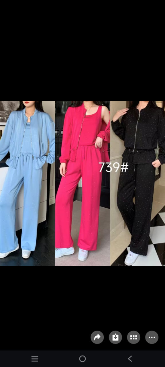 Beautiful Track Suit With Inner Crop Top FT238