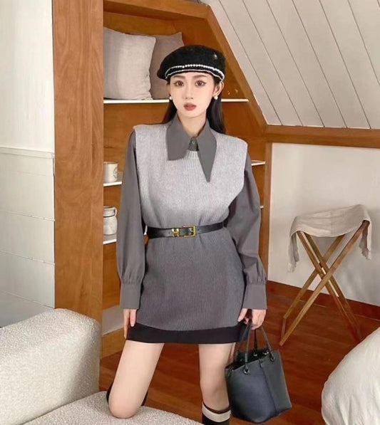 Beautiful Shaded Sweater With Shirt And Belt  FT373
