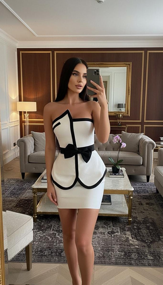 The Monochromatic Corset and Skirt set  FT436