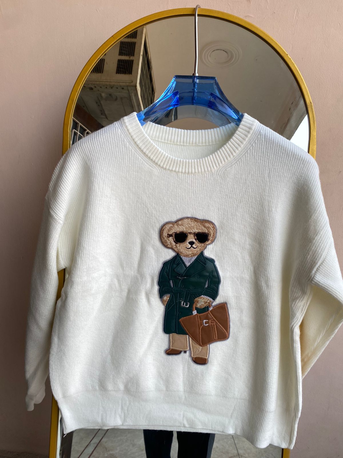 Teddy Explorer Sweaters FT508
