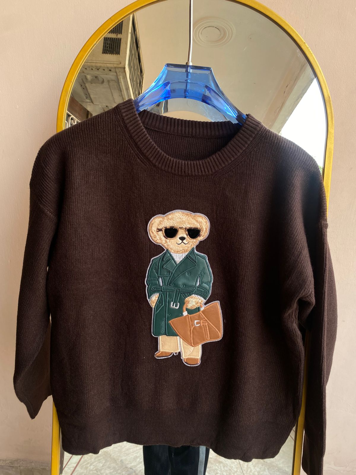 Teddy Explorer Sweaters FT508