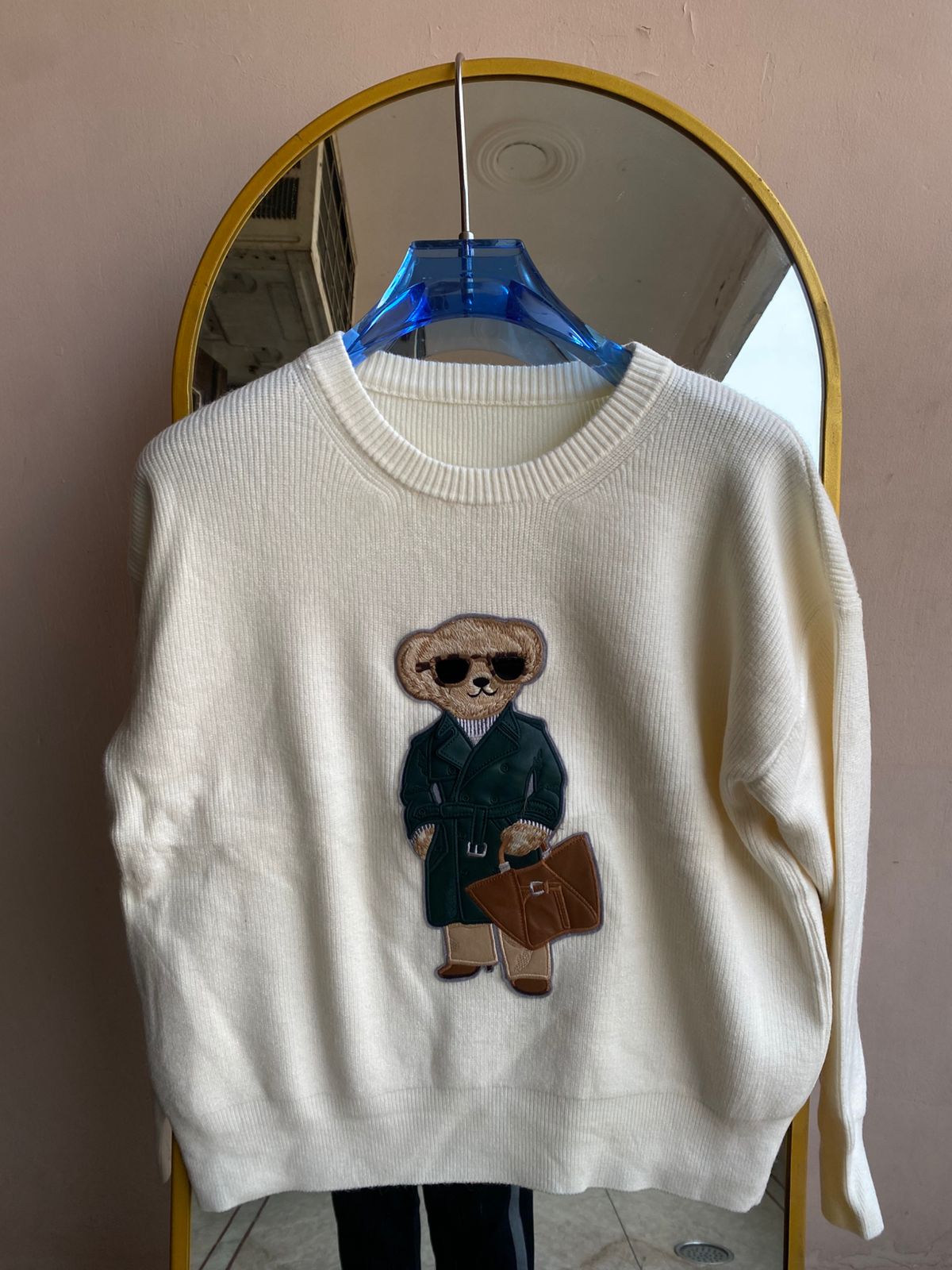 Teddy Explorer Sweaters FT508