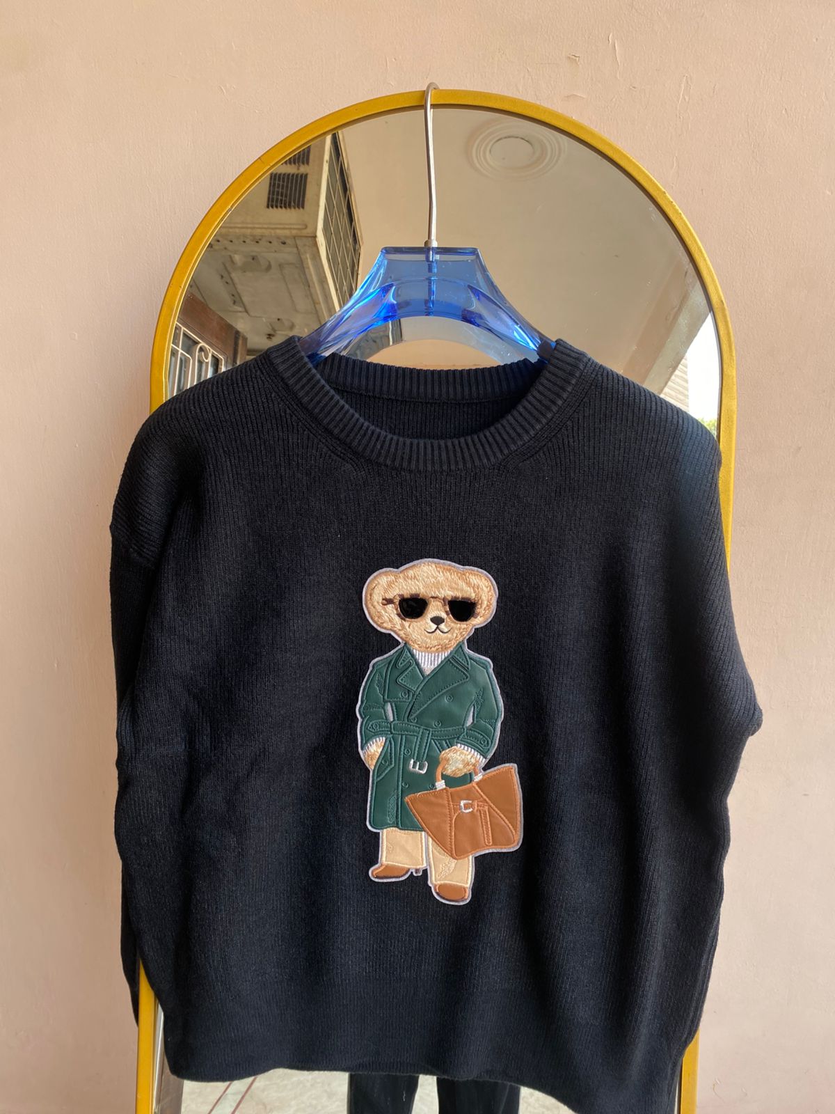 Teddy Explorer Sweaters FT508