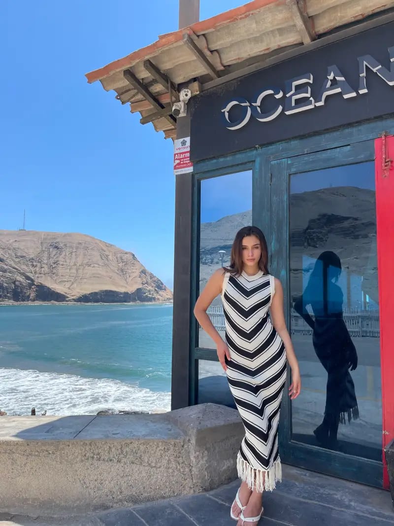 Summer Knit Fringes Dress FT631