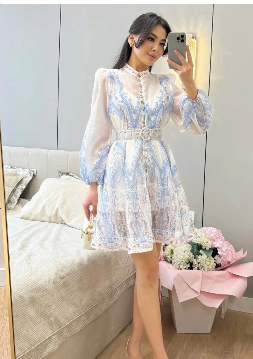 Beautiful Pattern Print Mini Dress With Belt  FT728