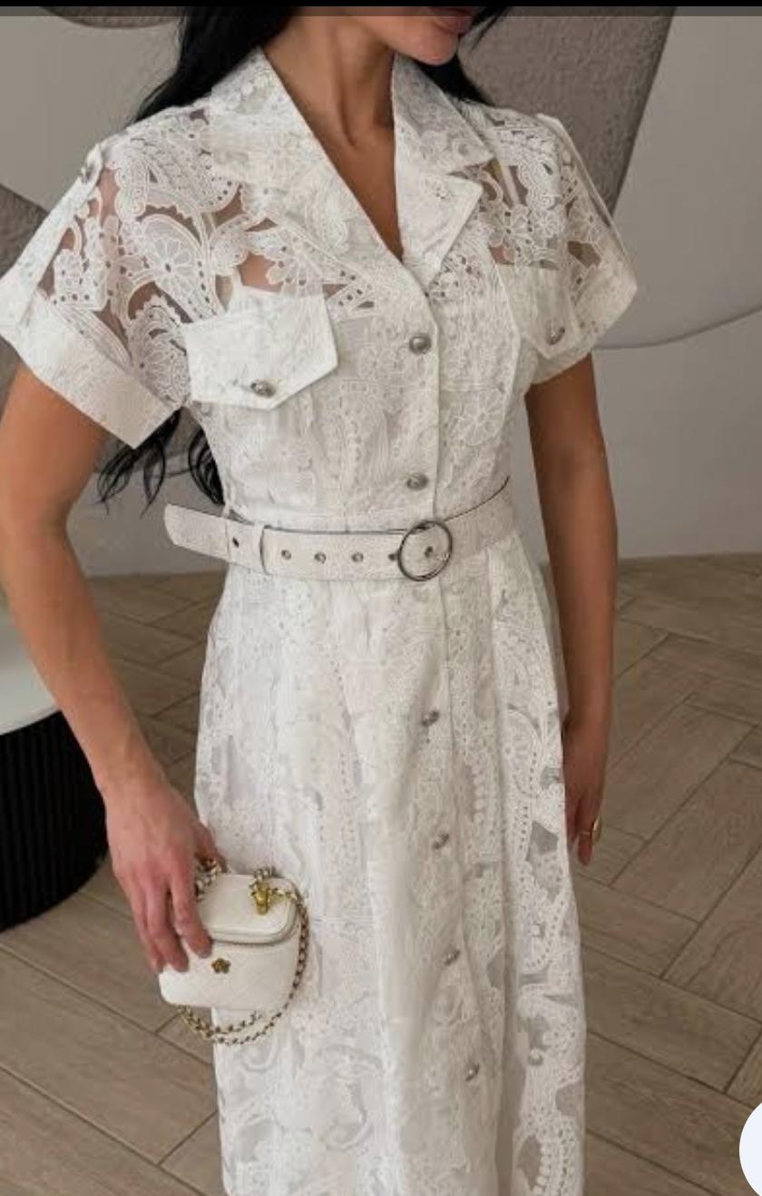Luxe Crochet Lace Embroidered Dress FT822