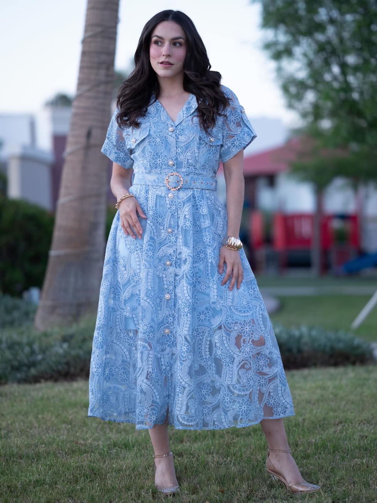 Luxe Crochet Lace Embroidered Dress FT822