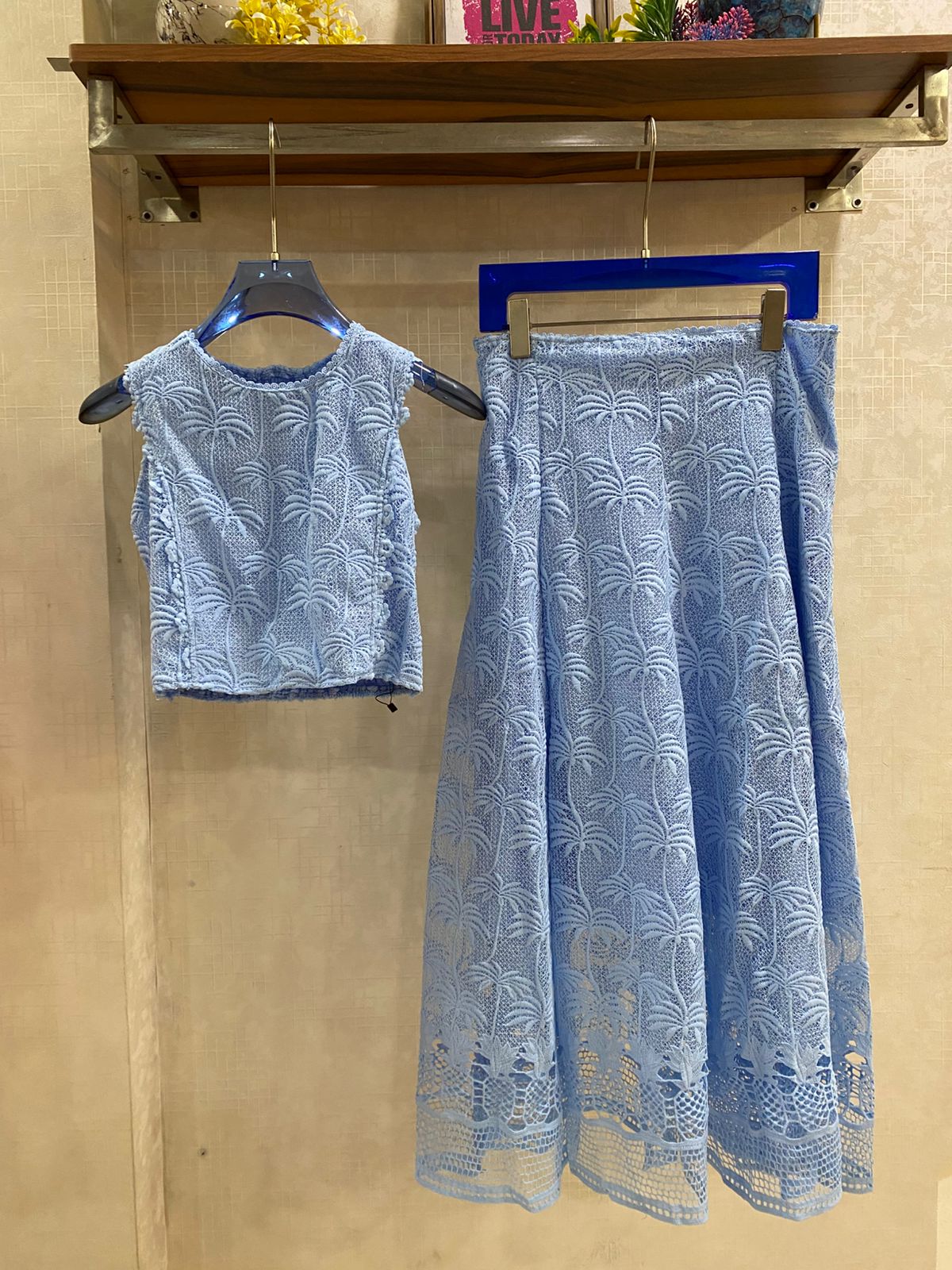 Lace Embroidered Two-Piece Skirt Set FT887